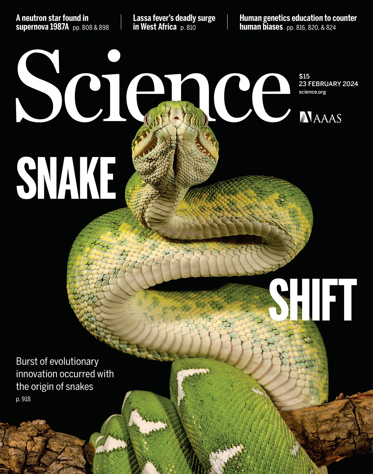 3 郭江涛 science封面.jpg